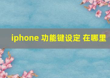 iphone 功能键设定 在哪里